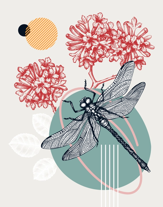 Collage style dragonfly vector illustration. Hand-sketched insect on Pink trumpet tree. Trendy design with floral, geometric shapes, abstract elements. Perfect for print, poster, card, wall art.